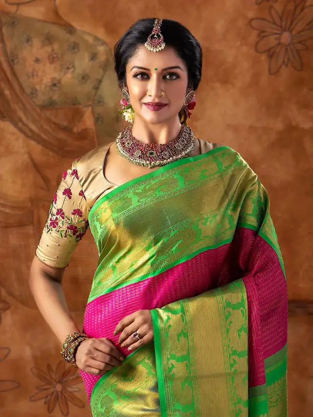 Vimala Raman pic in saree